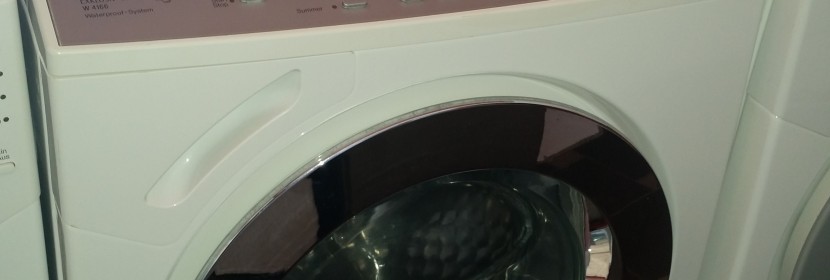 MIELE W4166